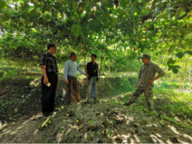 省水果产业技术体系岗位专家到尤溪调研指导百香果生产