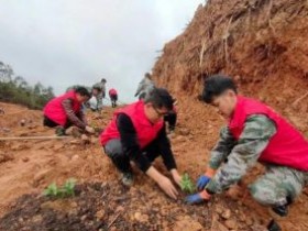 贵州从江青年志愿者助力百香果种植