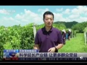 贵州平塘百香果种植示范基地的智能补光应用