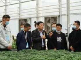 平塘县克度镇先进村百香果种植技术发展壮大产业