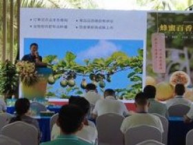 保亭举办首届百香果产业论坛促进百香果产业高质量发展