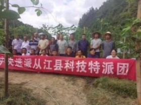 中央选派科技特派团百香果产业组赴从江县开展技术培训