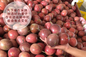 百香果市场价格是多少钱一斤