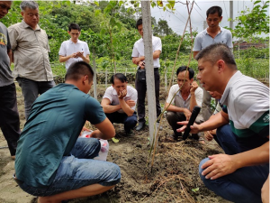 随后，学员们到大塘村百香果种植示范基地参观学习