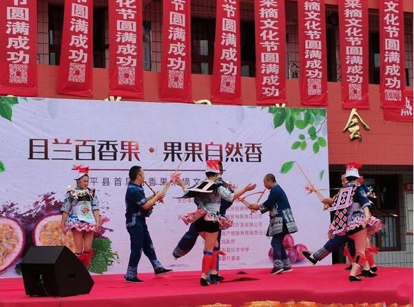 黄平县还举办了首届百香果采摘文化节