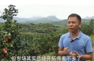 福建漳州有一种特色水果叫琯溪蜜柚，而庄展中早在1994年就开始种植琯溪蜜柚