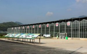 以果为媒贵州省水果产业发展现场会观摩团走进从江县